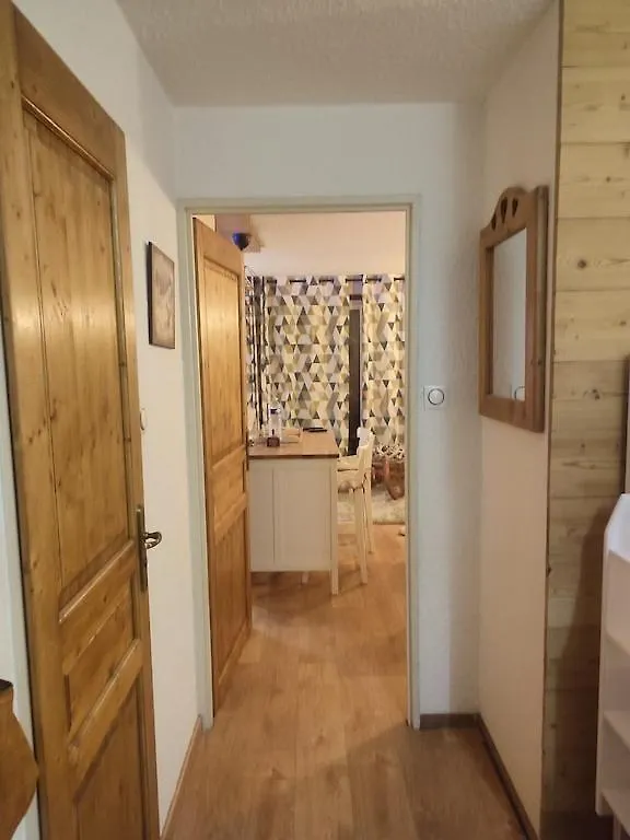 Studio 4-6 Couchages.Pied Des Pistes.Residence Montana1 Les Deux Alpes Appartement